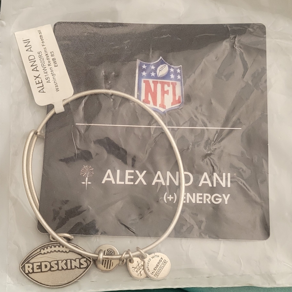 Alex and Ani Rafaelian Silver